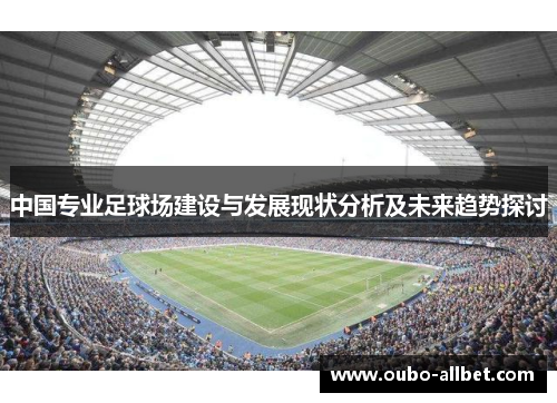 中国专业足球场建设与发展现状分析及未来趋势探讨